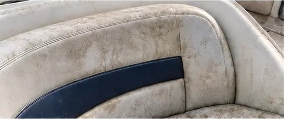Mildewed boat upholstery before detailing